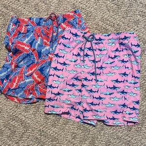 Men's Blue and Pink Swim Shorts Set